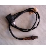 Sonda Octavia I 1,6/74kw 06A906262AC